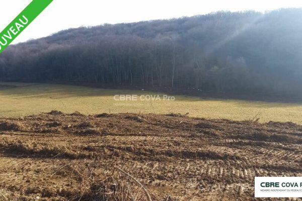 Terrain à vendre – 9 477 m² – Chatillon Le Duc