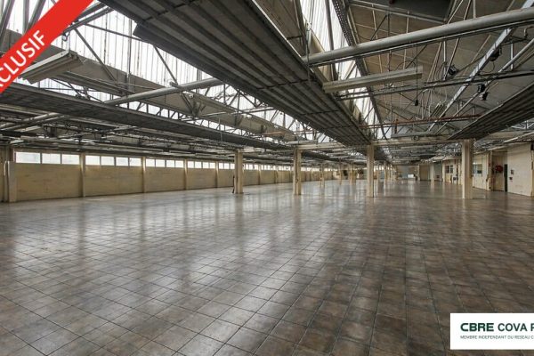 Local d&rsquo;activité à vendre – 6 559 m² – Ney – photo 3