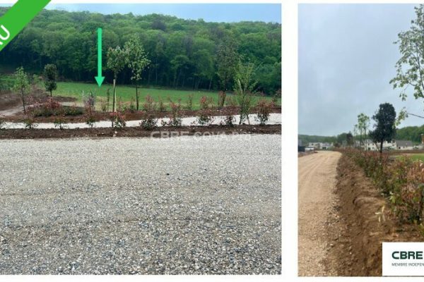 Terrain à vendre – 9 477 m² – Chatillon Le Duc – photo 3