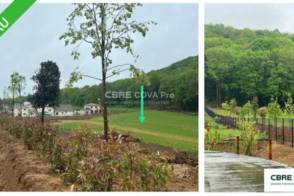 Terrain à vendre – 9 477 m² – Chatillon Le Duc – photo 4