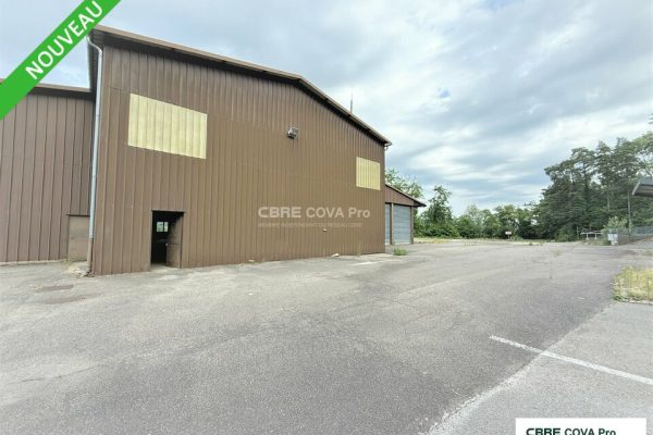 Local d&rsquo;activité à vendre – 940 m² – Besançon – photo 2