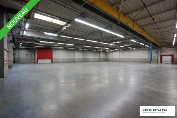 Entrepôt à vendre – 11 700 m² – Moirans En Montagne – photo 3