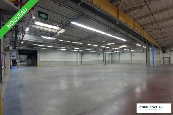 Entrepôt à vendre – 11 700 m² – Moirans En Montagne – photo 5