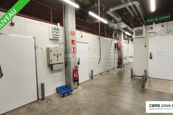 Local commercial à louer – 1 603 m² – Hauts De Bienne – photo 4