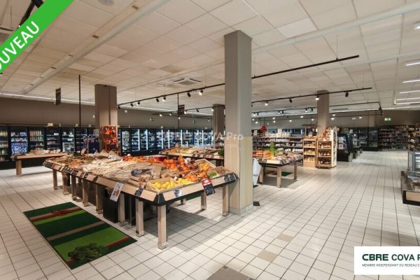 Local commercial à louer – 1 603 m² – Hauts De Bienne