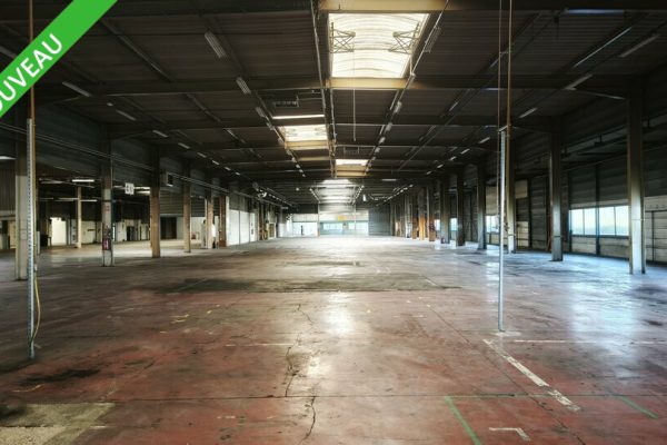 Local d&rsquo;activité à vendre – 7 910 m² – Saint Vit – photo 4